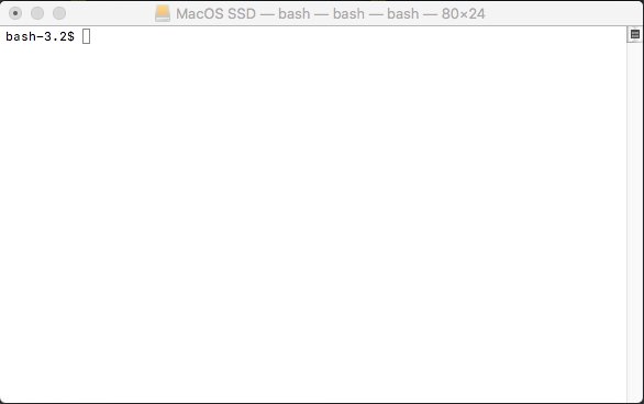 Terminal Mac